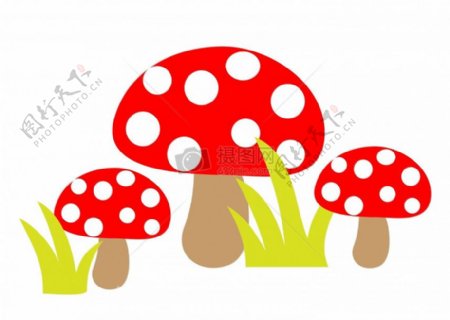 小学课本上的蘑菇