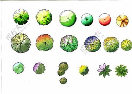 手绘树平面图片