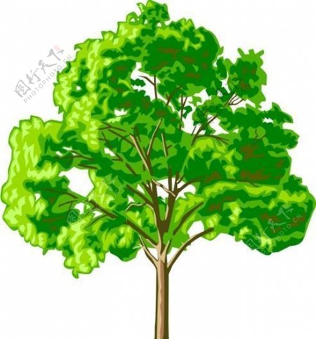 树木植物图案矢量AI0015