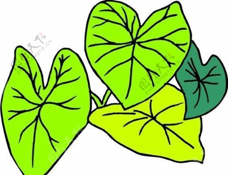 树叶植物图案矢量AI0065