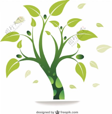 生态绿化树向量