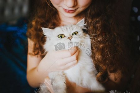 抱着小猫的女孩