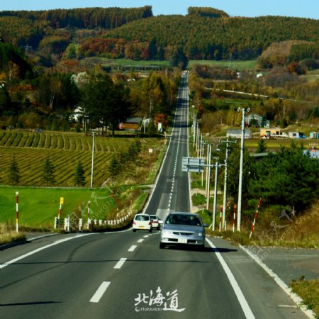 北海道公路上的轿车图片