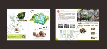 简约蘑菇企业折页设计素材
