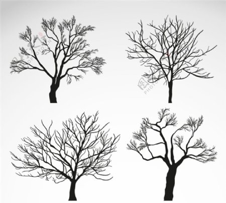 冬季树木矢量素材