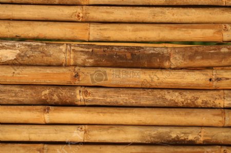 排列整齐的竹子
