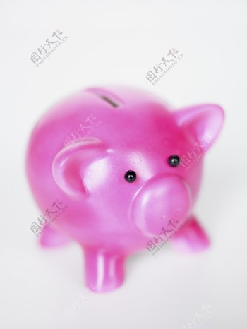 粉红色的小猪储蓄罐图片