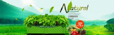 绿色食品农业种植箱大海报