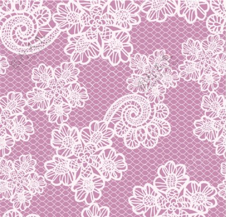 白蕾丝花卉紫底背景矢量素材