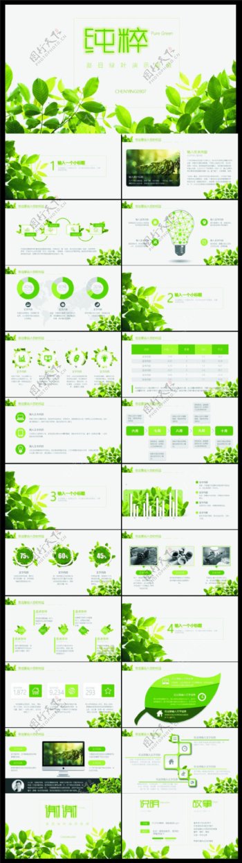 绿色植物ppt模板