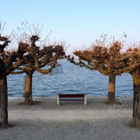 板凳天空树木湖泊广场中心