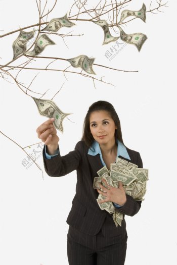 女人在采摘树上的钞票图片