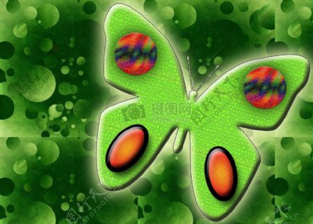 绿色背景的蝴蝶
