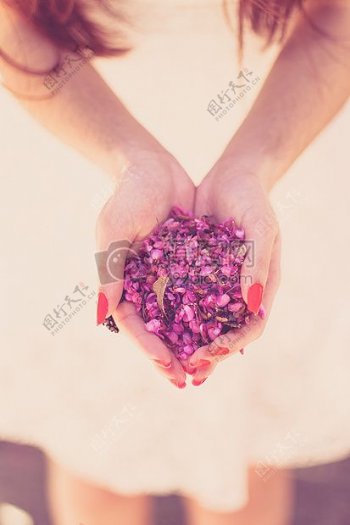 手中捧着的鲜花