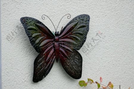 墙面上的蝴蝶