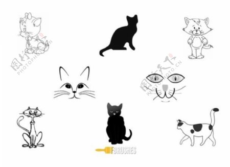 可爱的卡通猫咪猫脸Photoshop笔刷下载