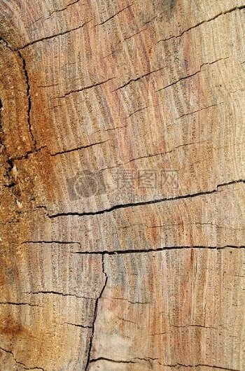 干枯裂缝的木材