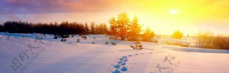 阳光下的雪地banner图片