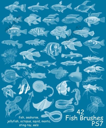 42种海洋鱼类笔刷