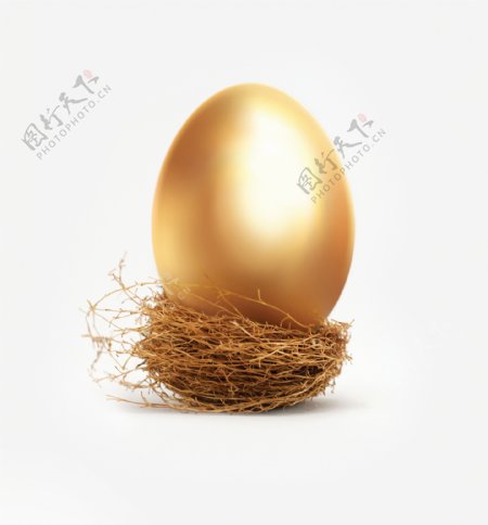 鸟巢里的金蛋图片