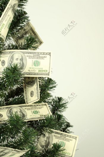 美元圣诞树图片