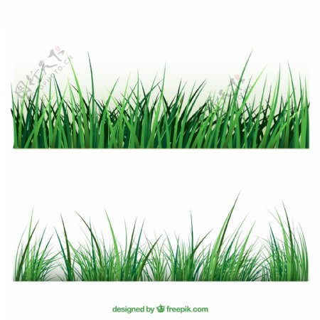 绿色草丛设计矢量图