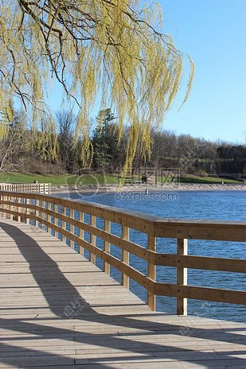 公园里的湖水和木桥
