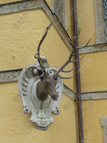 建筑墙上的金属麋鹿塑形