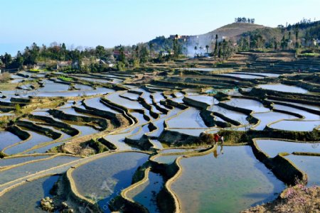 云南元阳梯田风景