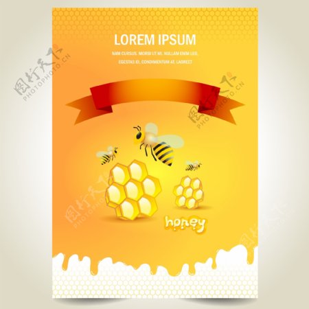 创意蜜蜂与蜂蜜海报设计矢量素材