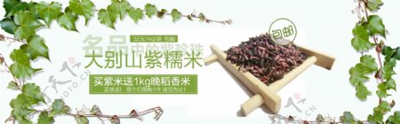 紫米清新海报