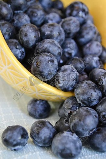 食品健康水果蓝莓越橘越桔