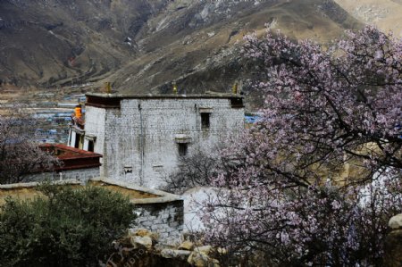 西藏帕崩岗风景