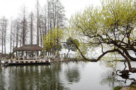 南京玄武湖公园风景