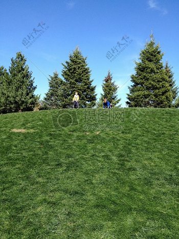 草地上玩耍的儿童