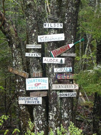 森林里的标志路牌