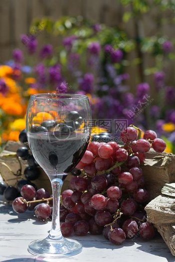 清除玻璃酒葡萄附近水果