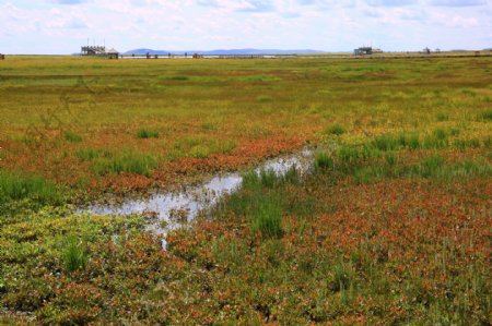 四川花湖风景