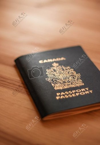 度假旅游加拿大旅行护照苯教航程