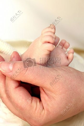 婴儿的脚在父母手中