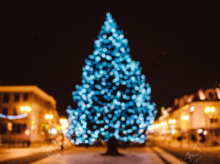 梦幻蓝色圣诞树图片