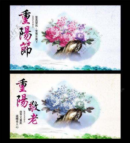 重阳节赏菊花海报图片