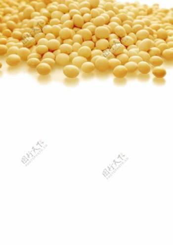 黄豆食物素材