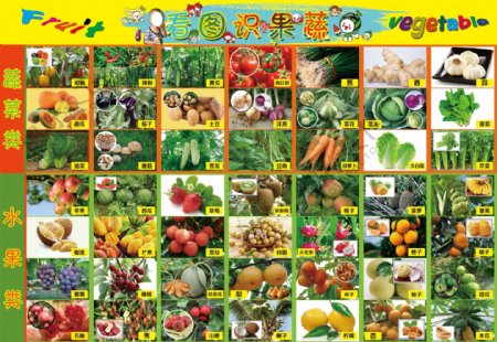 看图识蔬菜水果