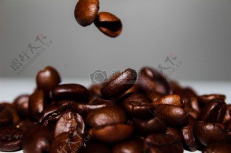正宗咖啡豆