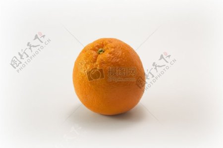 白色背景下的橙子