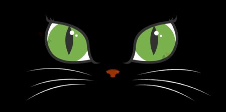 绿夜光猫眼