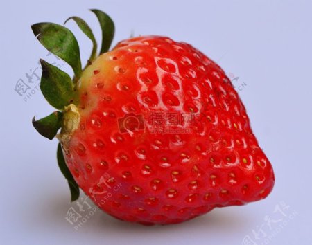 美味甜草莓