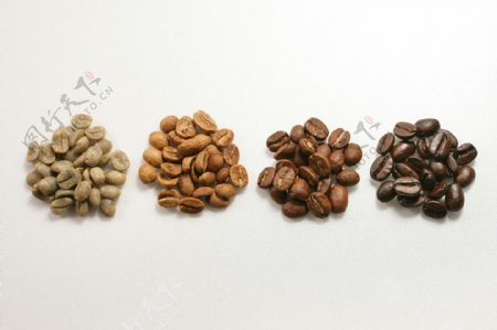 四种颜色的咖啡呢豆清图片图片