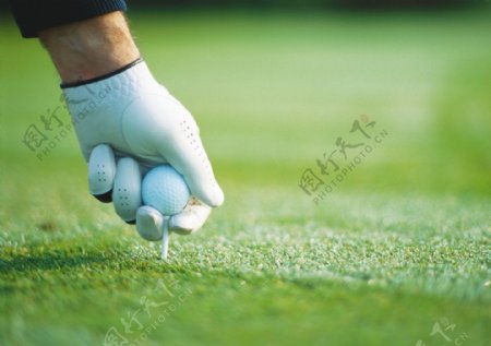 戴着白手套固定高尔夫球图片